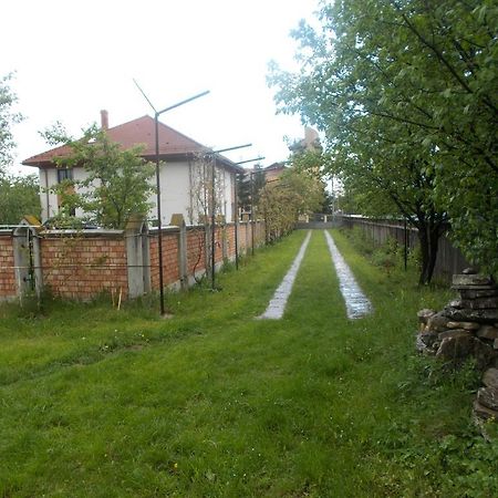Casa Ilea -Agapia Villa Bagian luar foto