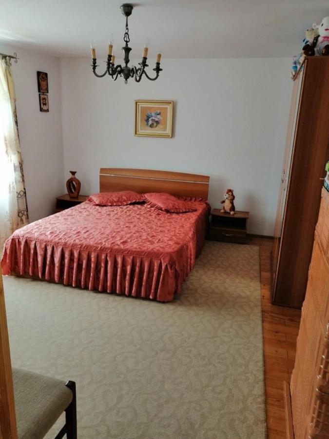 Casa Ilea -Agapia Villa Bagian luar foto