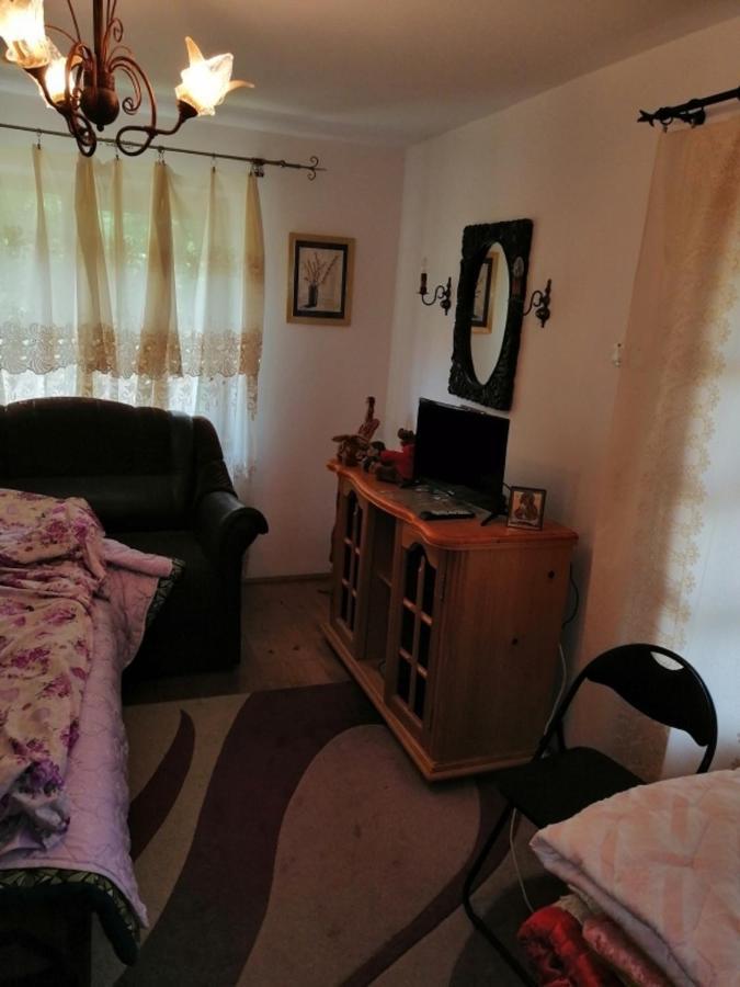 Casa Ilea -Agapia Villa Bagian luar foto