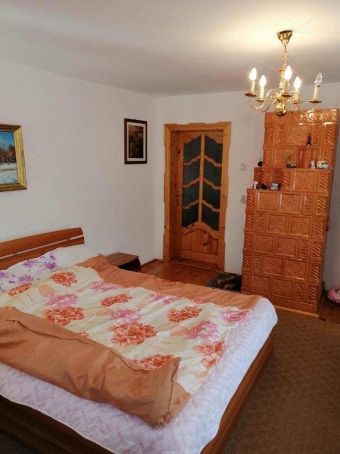 Casa Ilea -Agapia Villa Bagian luar foto