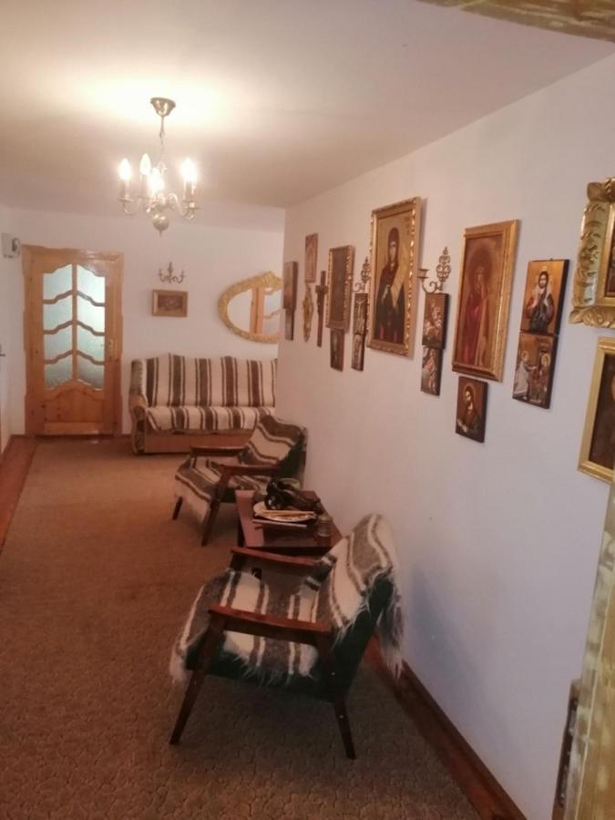 Casa Ilea -Agapia Villa Bagian luar foto