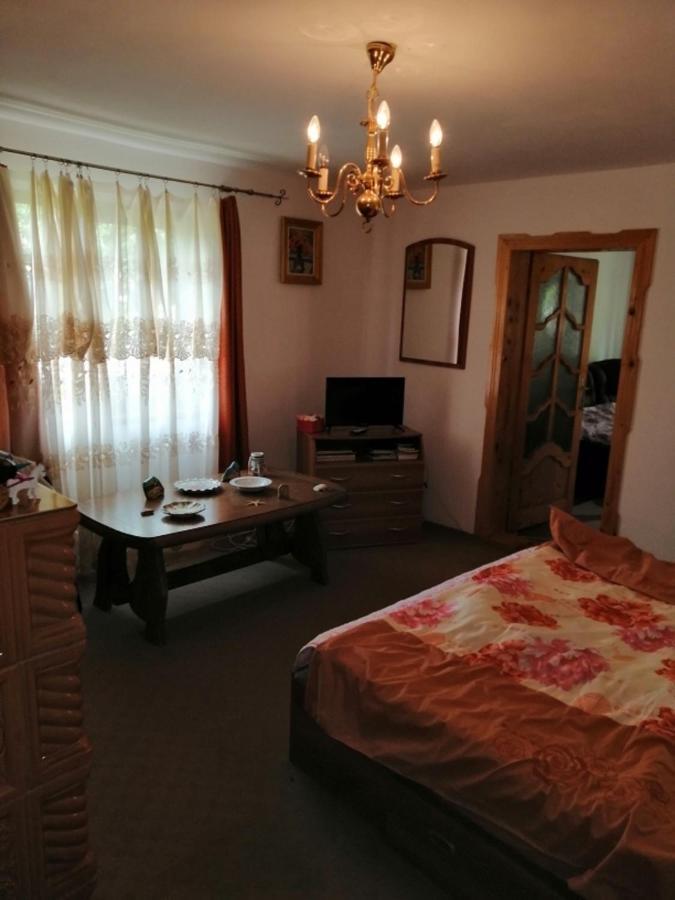 Casa Ilea -Agapia Villa Bagian luar foto