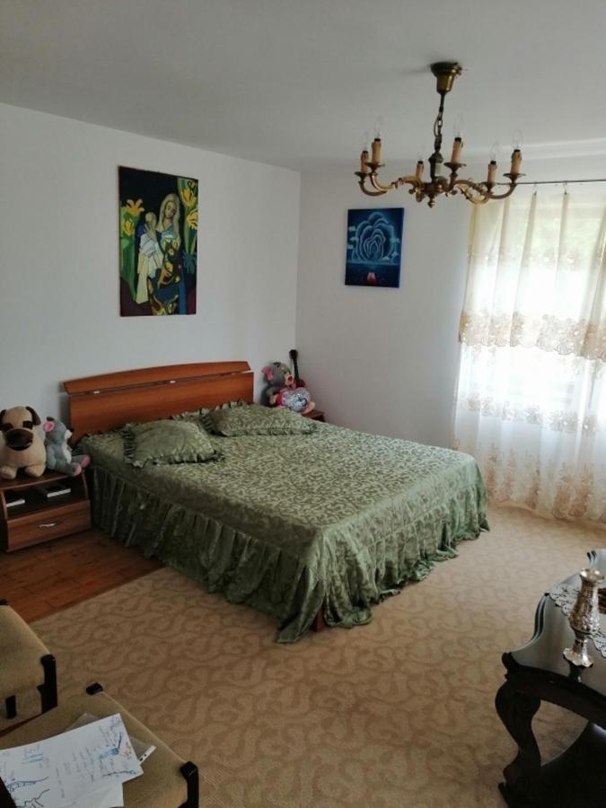 Casa Ilea -Agapia Villa Bagian luar foto