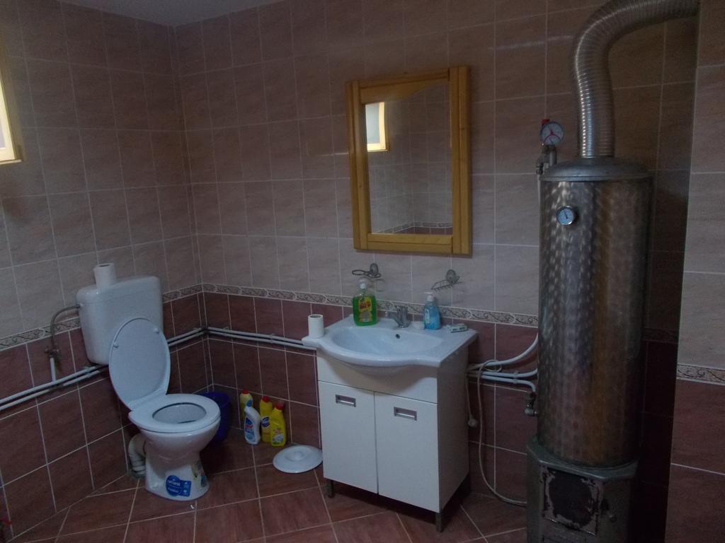 Casa Ilea -Agapia Villa Bagian luar foto